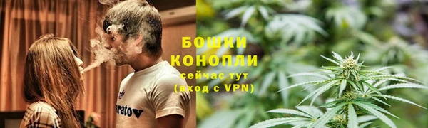 ГАЛЛЮЦИНОГЕННЫЕ ГРИБЫ Алзамай