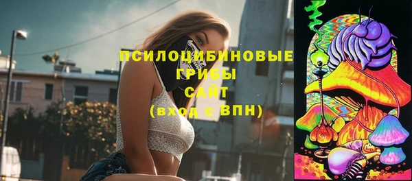 ГАЛЛЮЦИНОГЕННЫЕ ГРИБЫ Алзамай