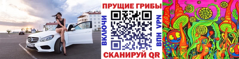 как найти закладки  Каргат  Псилоцибиновые грибы Psilocybe 