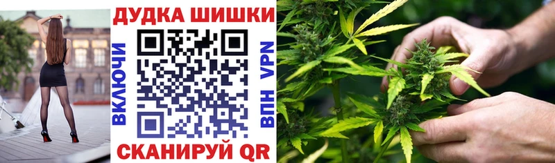 мега   Каргат  Бошки марихуана план 